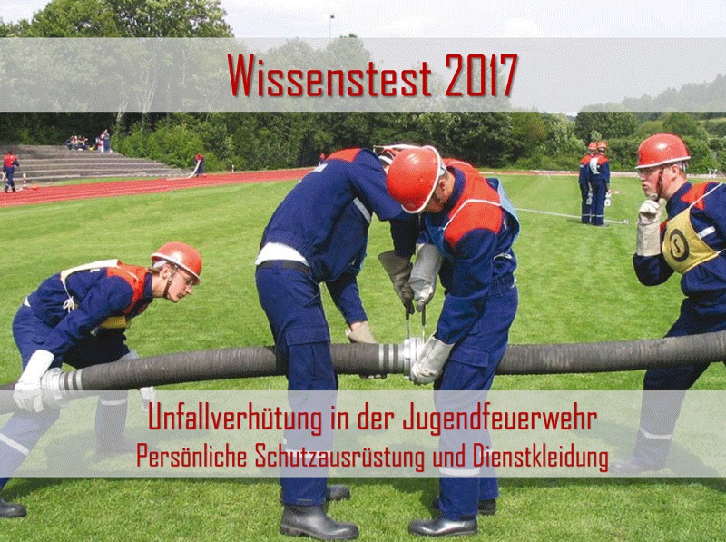 Wissenstest 2017