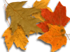 Captcha image 2182